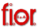 Logo F.I.O.R. S.P.A.